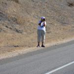 Cambria_2015_0093 (November 07, 2015)